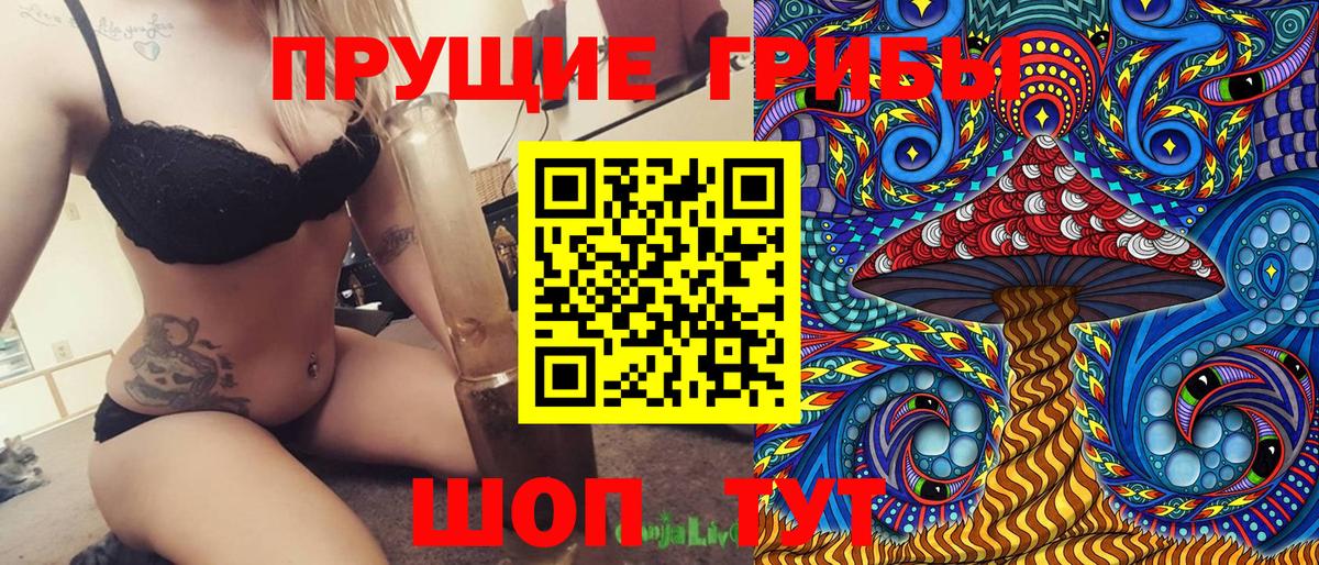 Галлюциногенные грибы Psilocybe  Вход с VPN  Галлюциногенные грибы Cubensis  Красноярск 